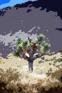 Joshua Tree in Solitude I - Abstract